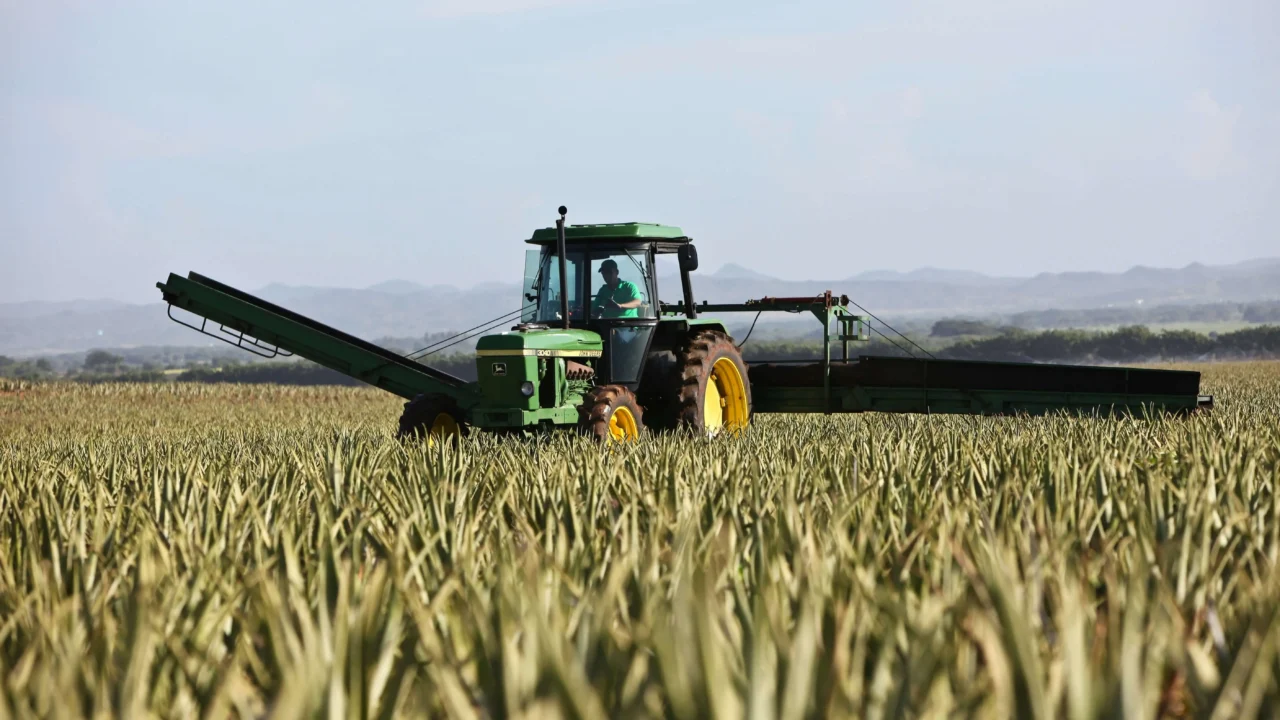 Enhancing security for agricultural assets in remote areas